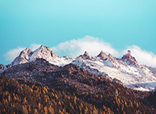 ewc-开云体育官网——开启无限可能的体育娱乐平台